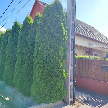 Szaffi Apartman Hajdúszoboszló Dış mekan fotoğraf